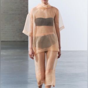 Zara Peach Organza Top only